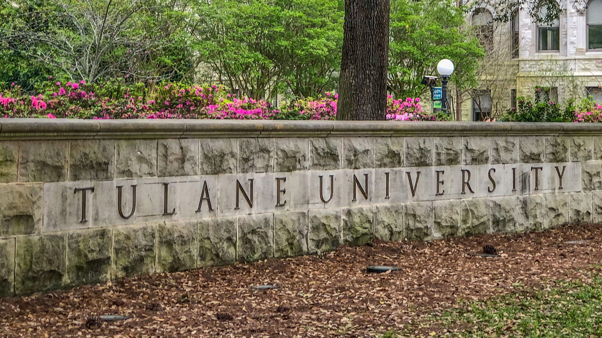 Tulane University