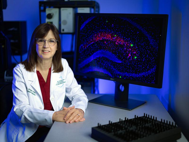 Jill Daniel, PhD, the Gary P. Dohanich Professor of Brain Science at Tulane University School of Science and Engineering