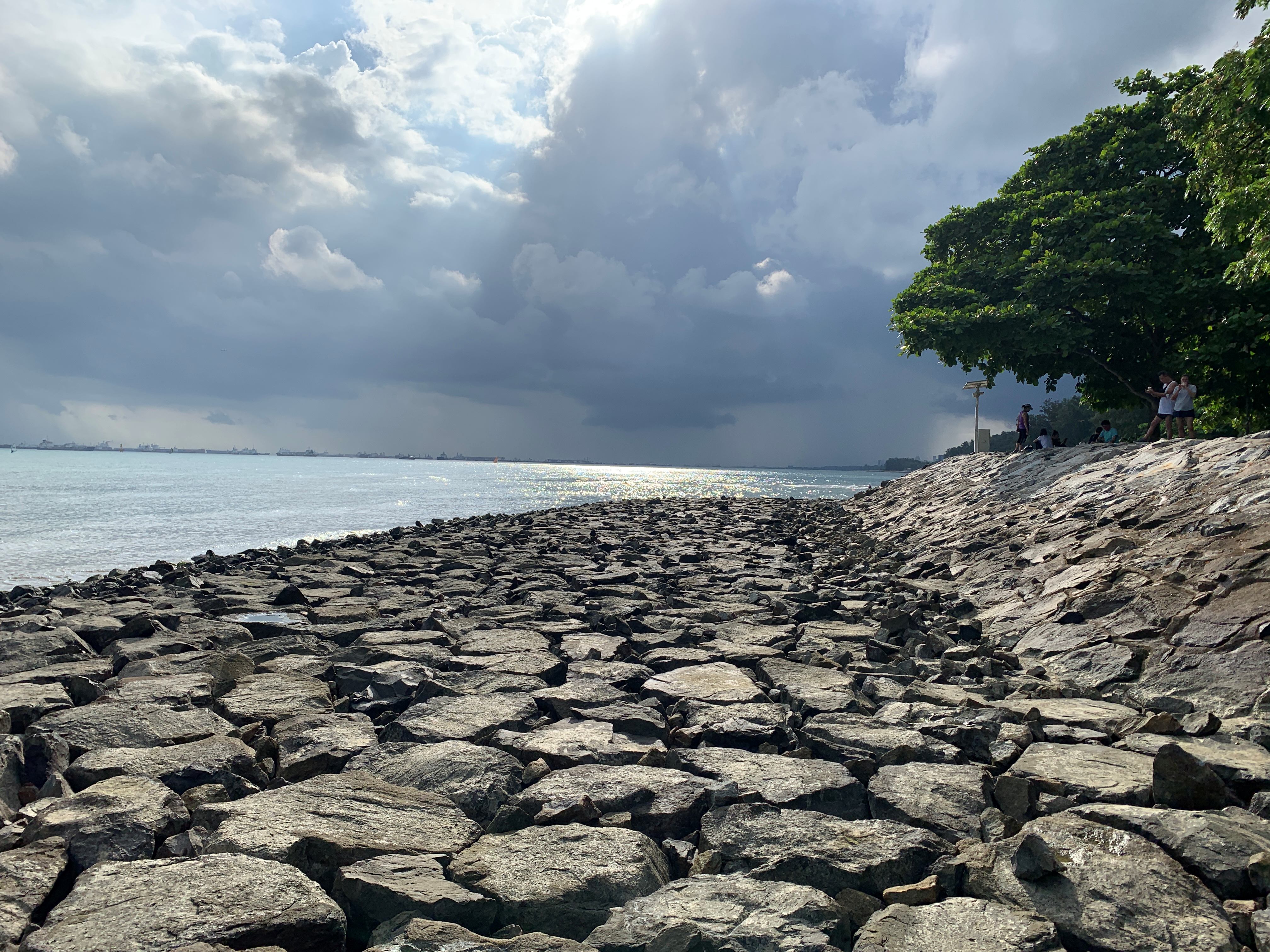 climate change minor