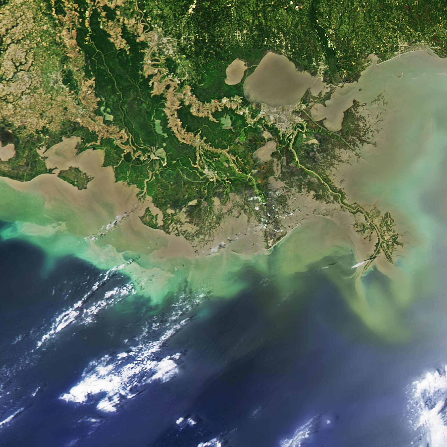 Satellite view of Mississippi River Delta with murky water meeting the ocean.