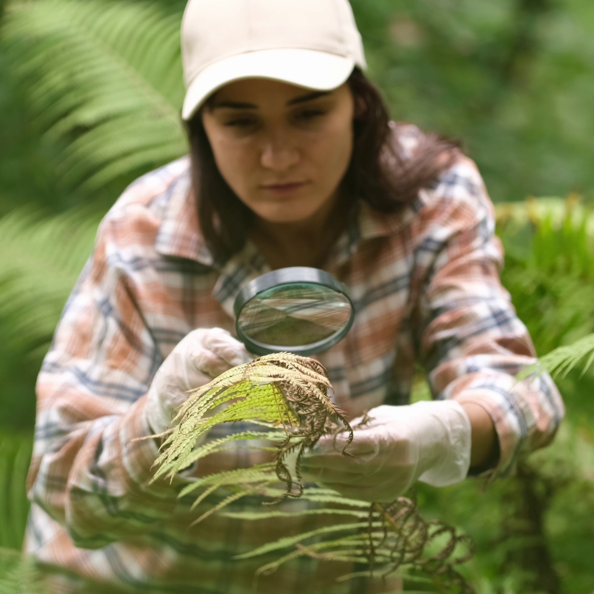 Woman in a cap and gloves examines a plant with a magnifying glass.