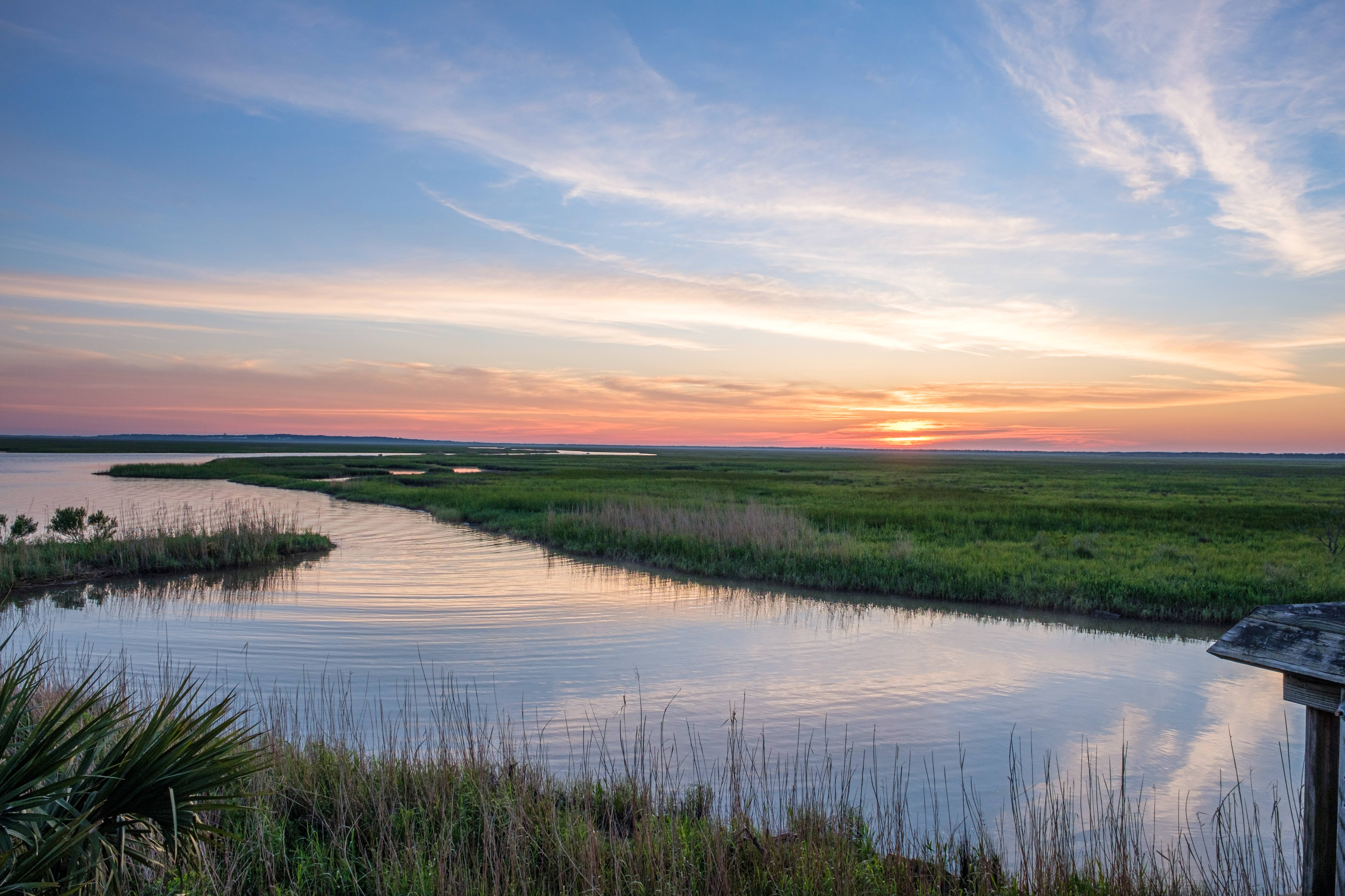 Sunset over a marshy river with reeds and grasses.