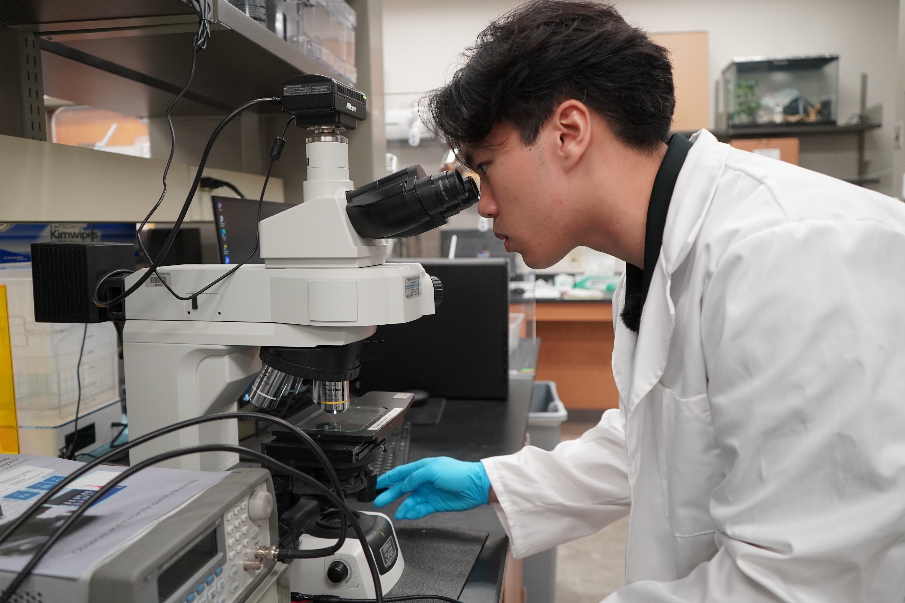 Male scientist in lab coat looks through microscope.