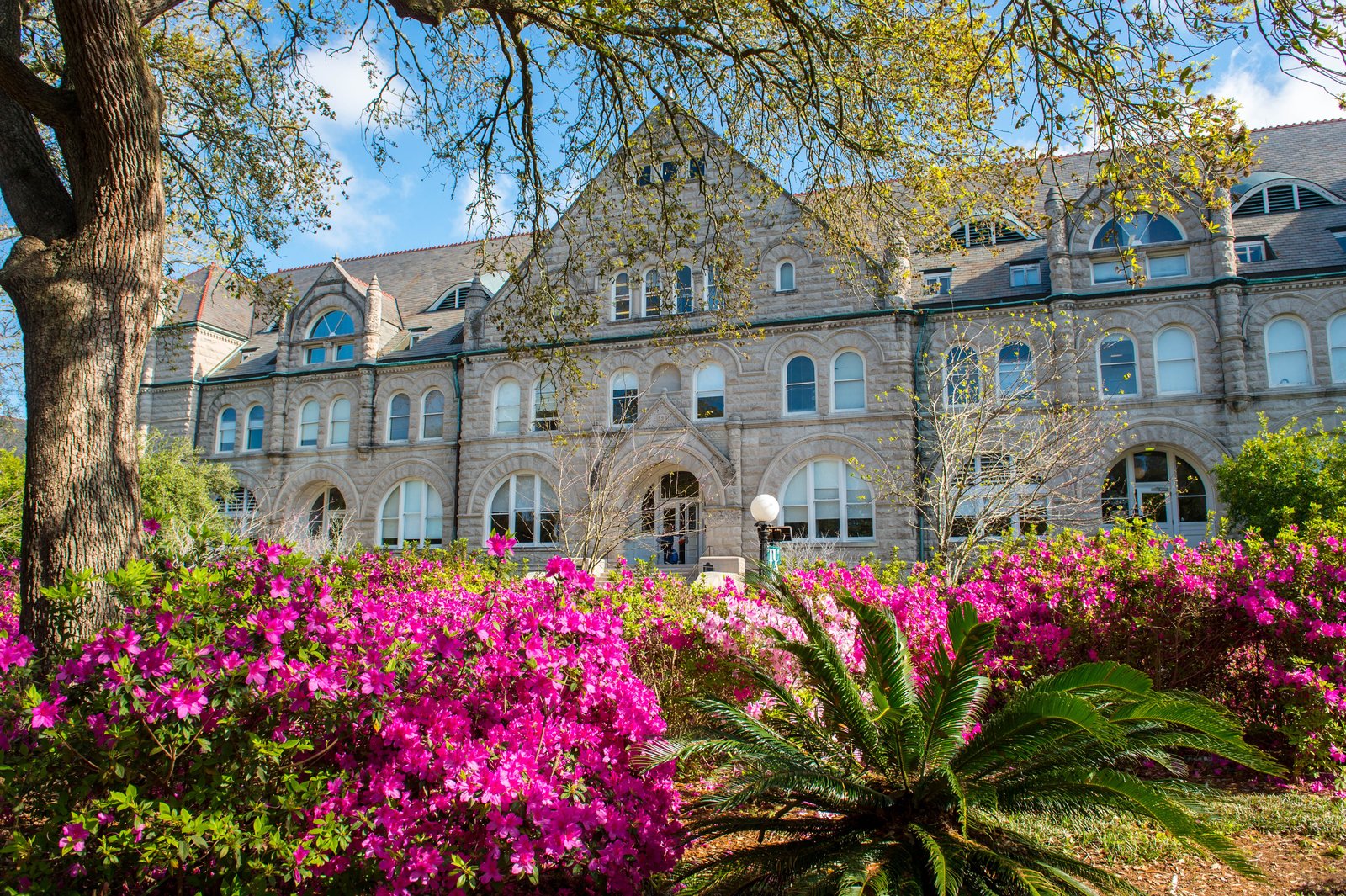 Historic Gibson Hall building at Tulane University