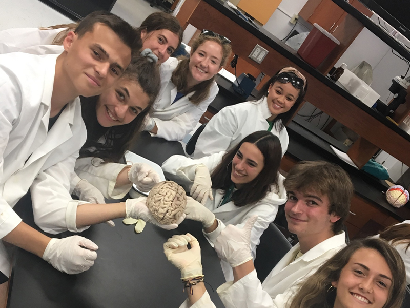 Students in lab coats examine a brain model in a science classroom.
