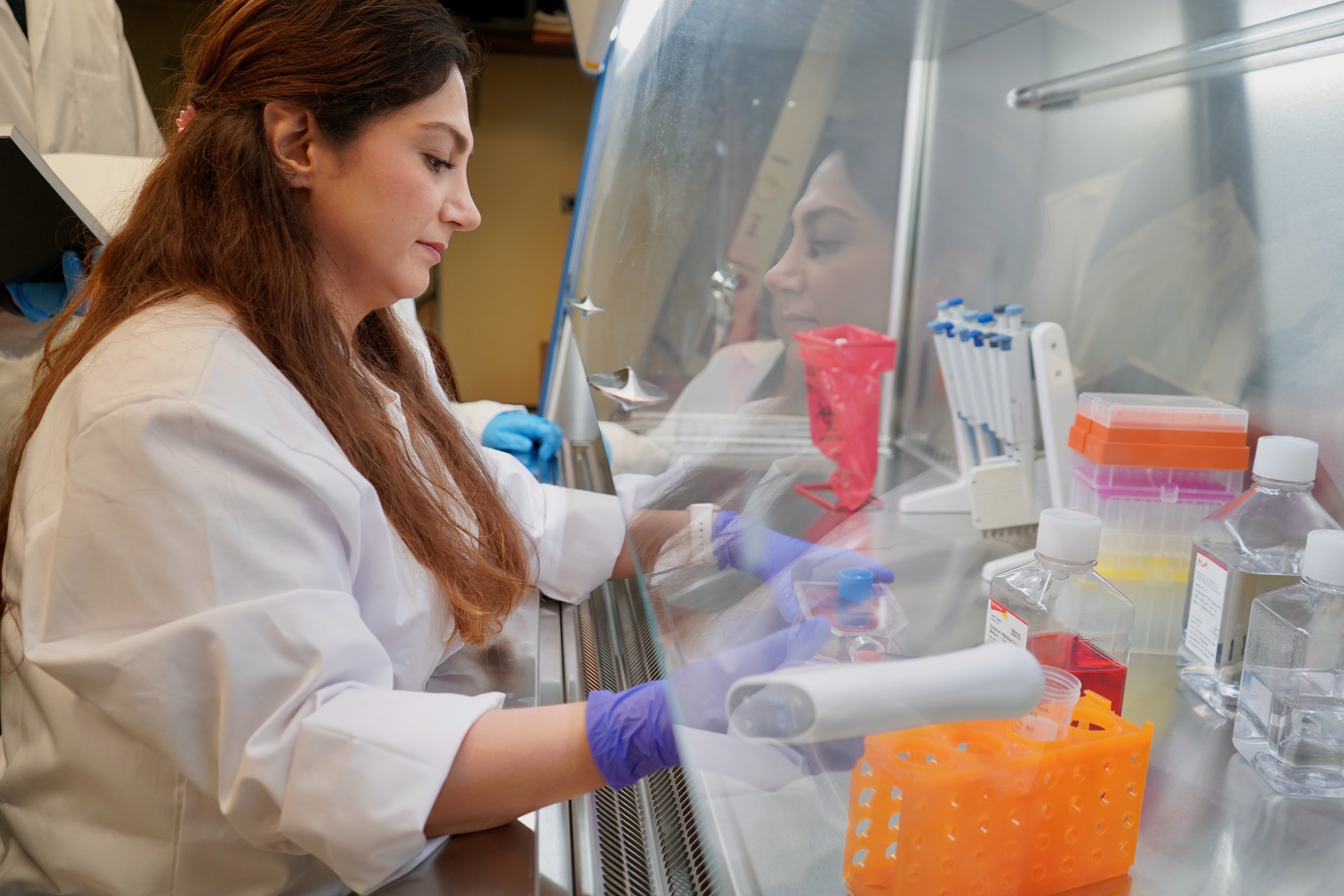 Scientist working in a sterile fume hood with samples.