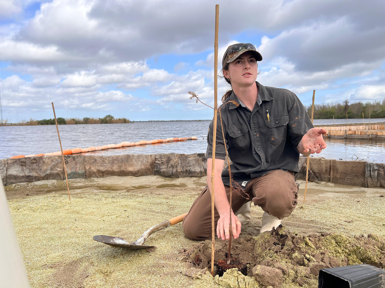 Photograph of a young man kneeling to plant a tree by a lake.