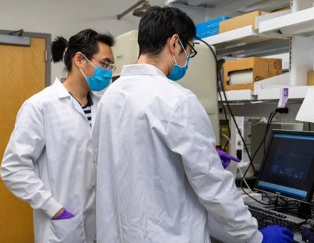 Two scientists in lab coats and masks look at a computer screen in a laboratory.