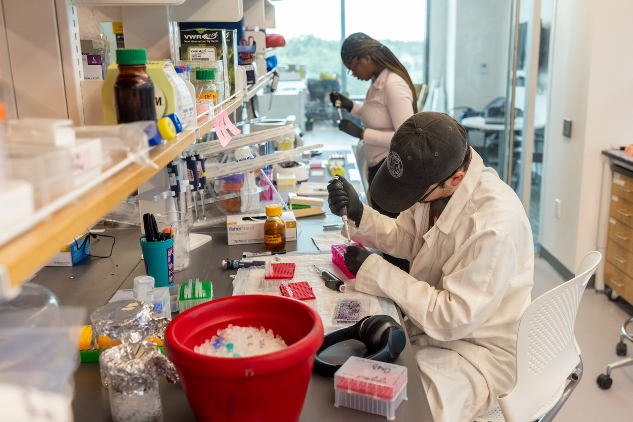 Photograph of researchers working at lab benches.
