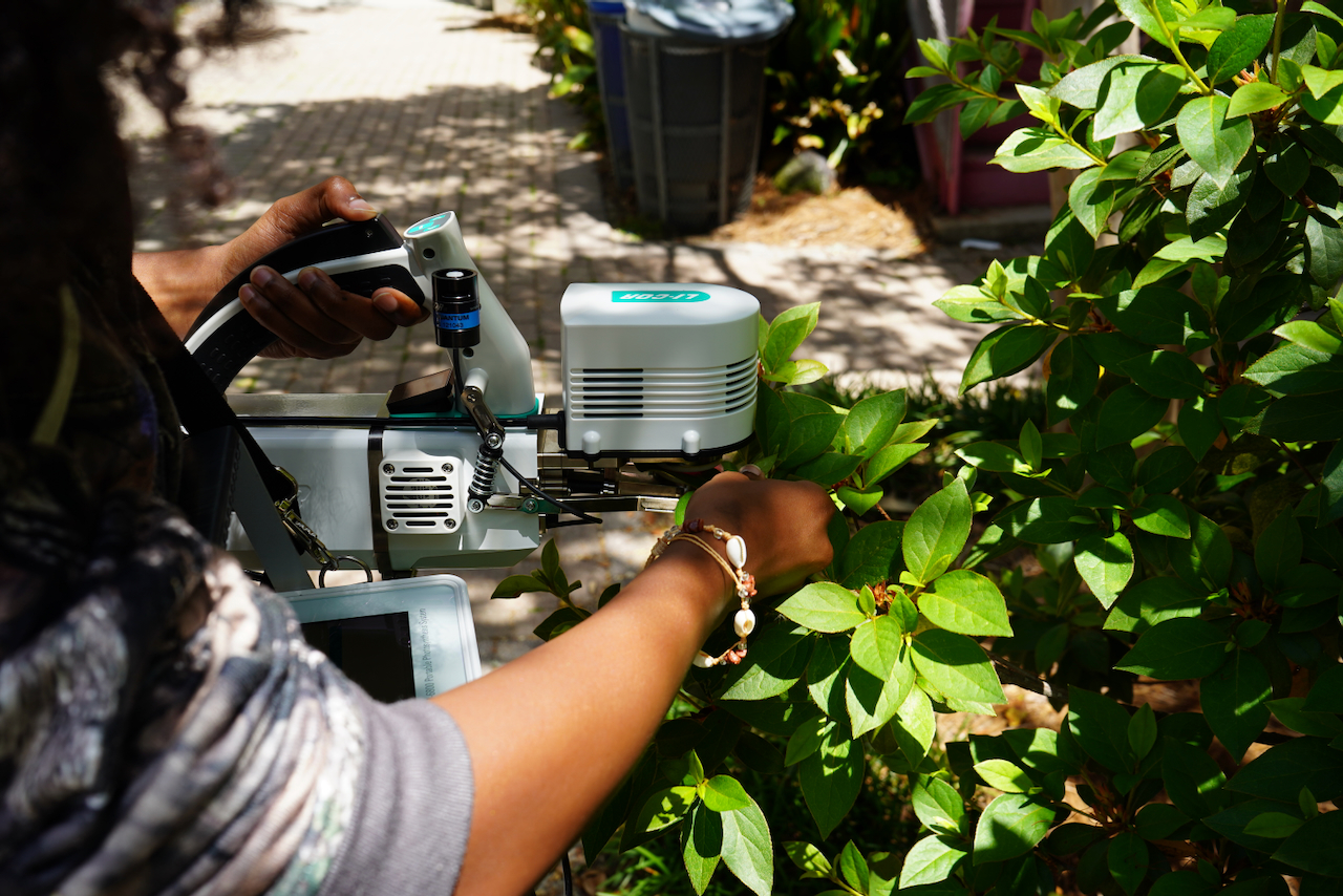 Person using a robotic lawnmower on lush green plants.