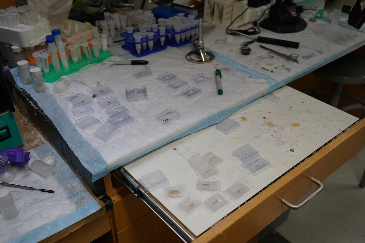 A laboratory bench with many small samples and vials, ready for analysis.