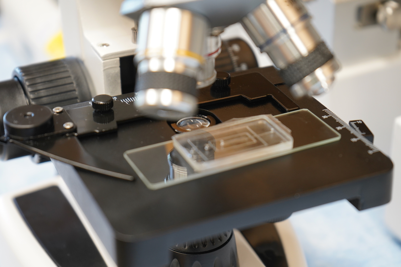 Photograph of a microscope stage with a glass slide positioned under the lenses.