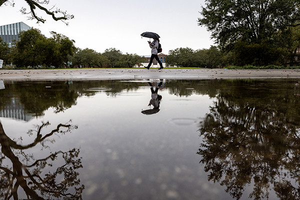 A person walks under an umbrella, reflected in a large puddle.