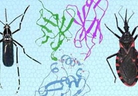 Illustration of a mosquito, a kissing bug, and three protein structures.