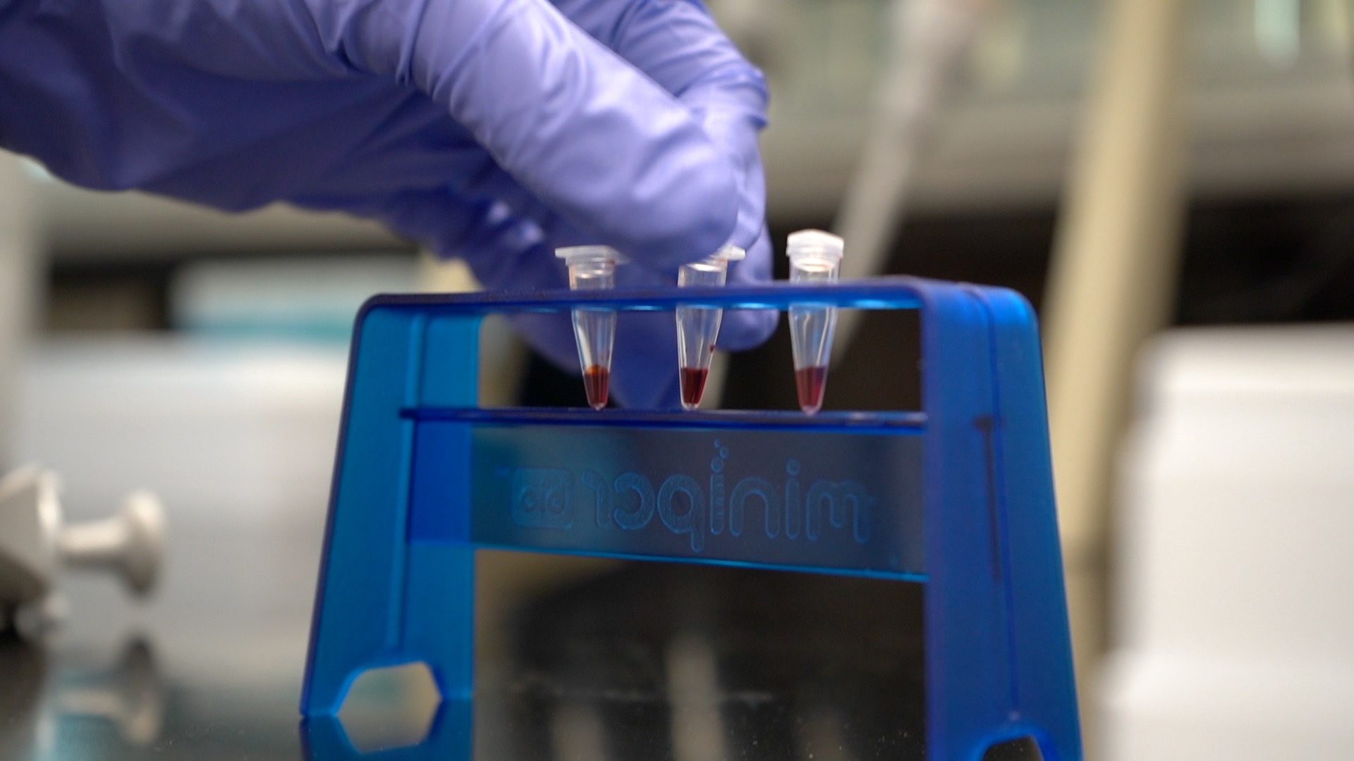 Gloved hand holding a microcentrifuge tube in a blue rack with other tubes.