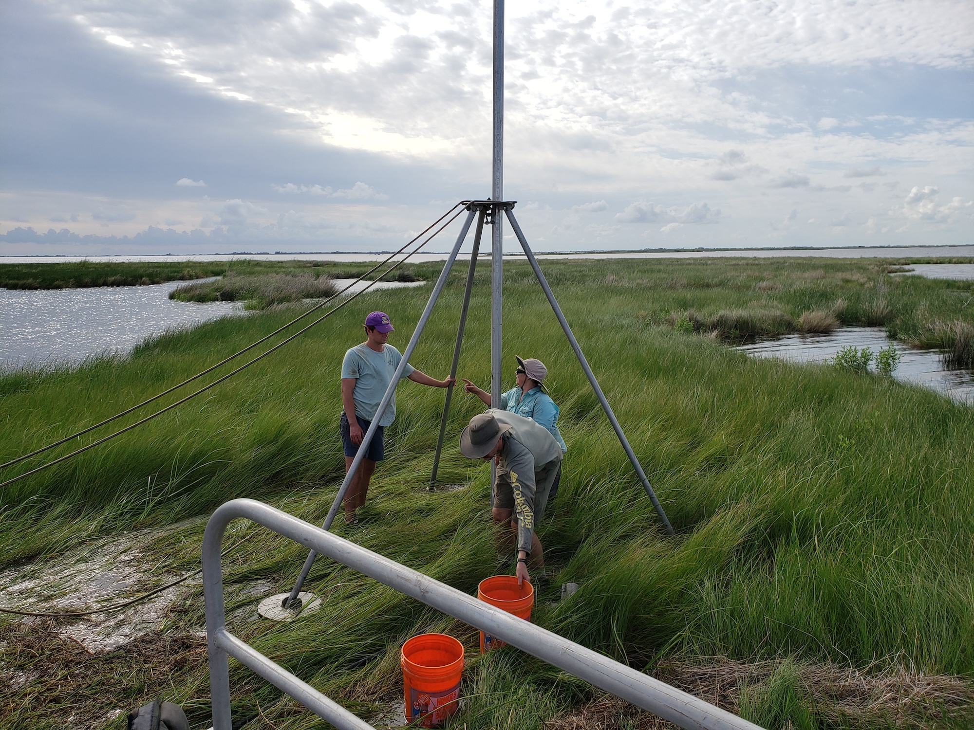 Photograph of researchers working by a tripod structure in a grassy wetland.