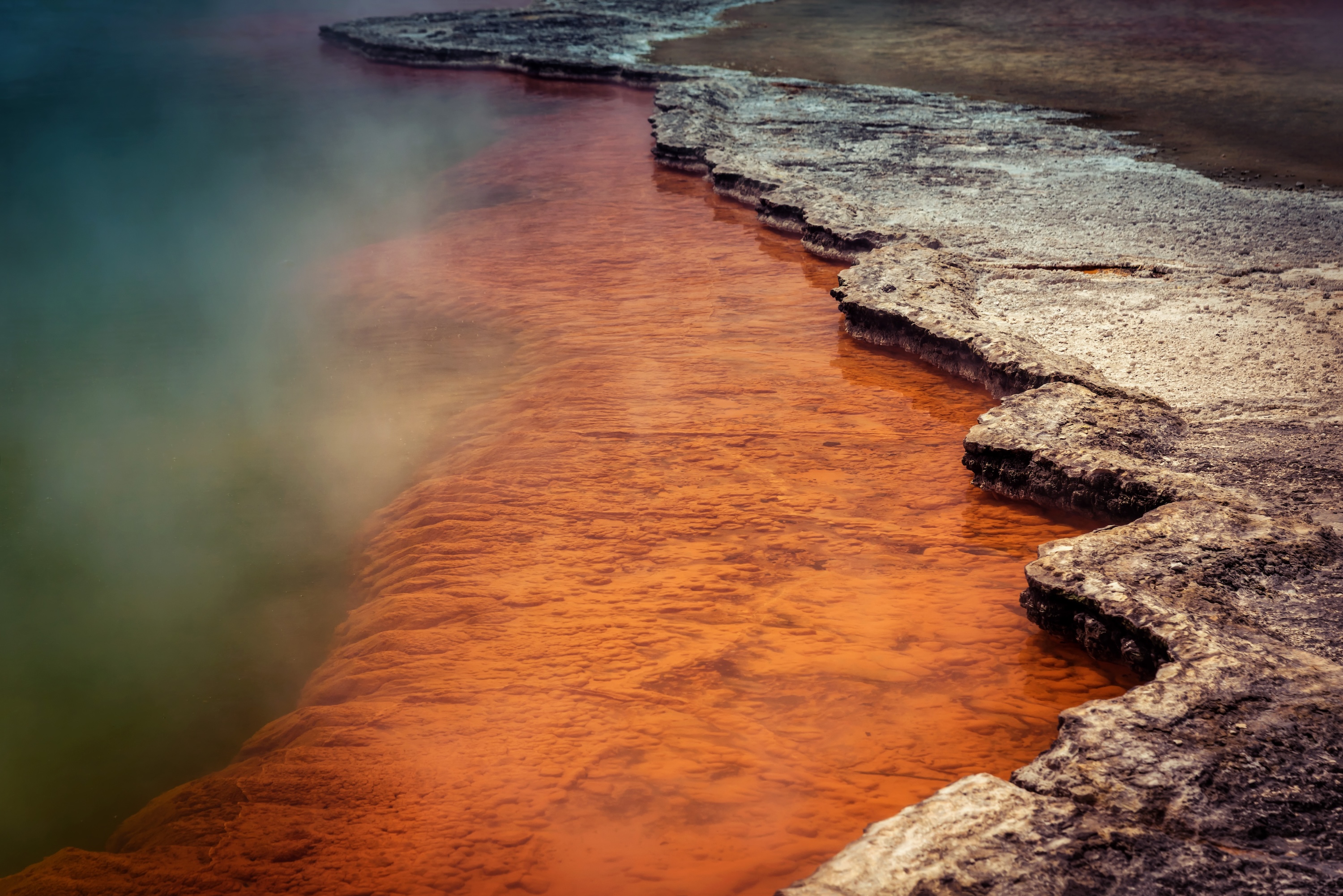 Photograph of the vibrant orange bacterial mat at the edge of a hot spring.