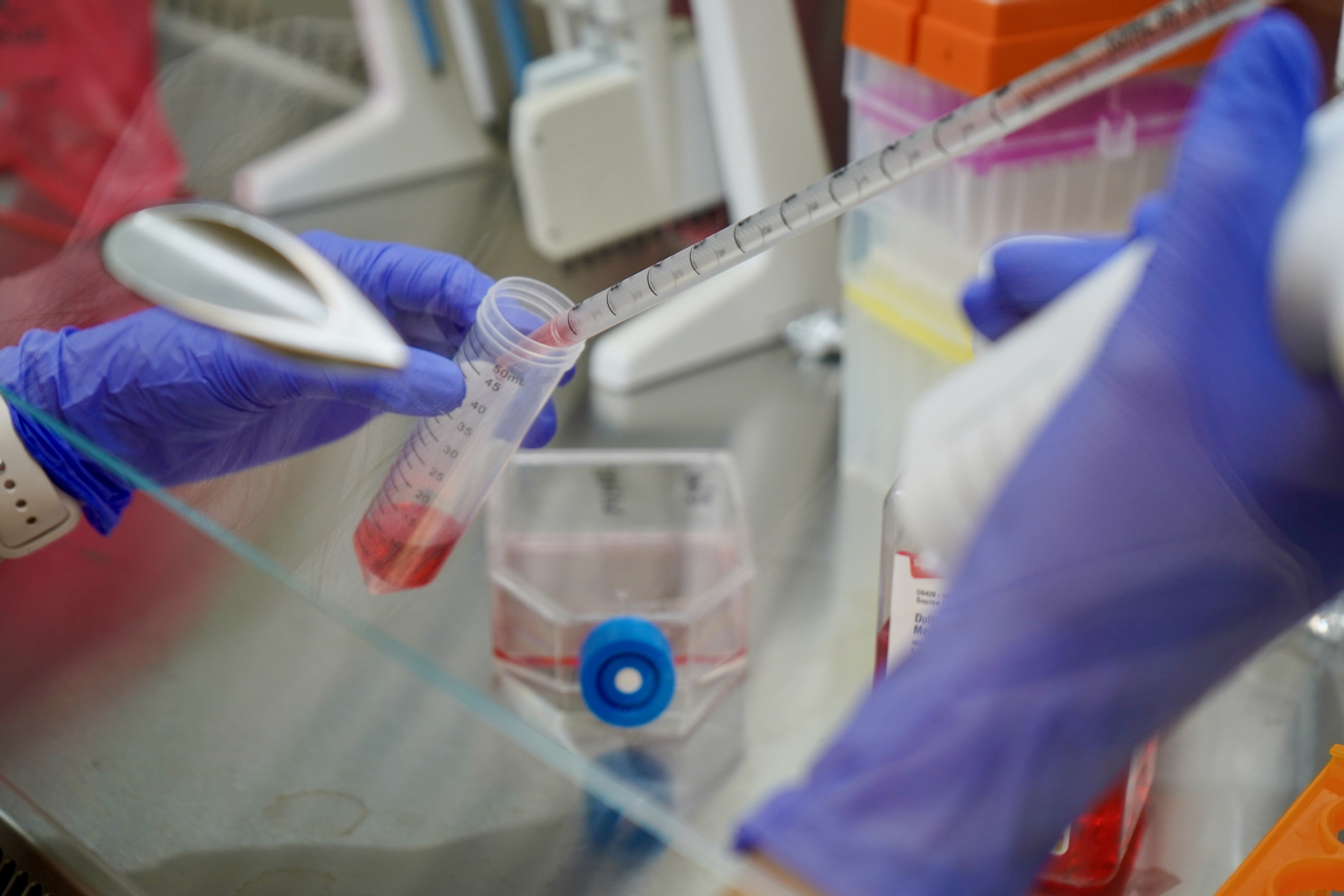 A researcher in blue gloves transfers red liquid into a vial with a pipette in a lab.