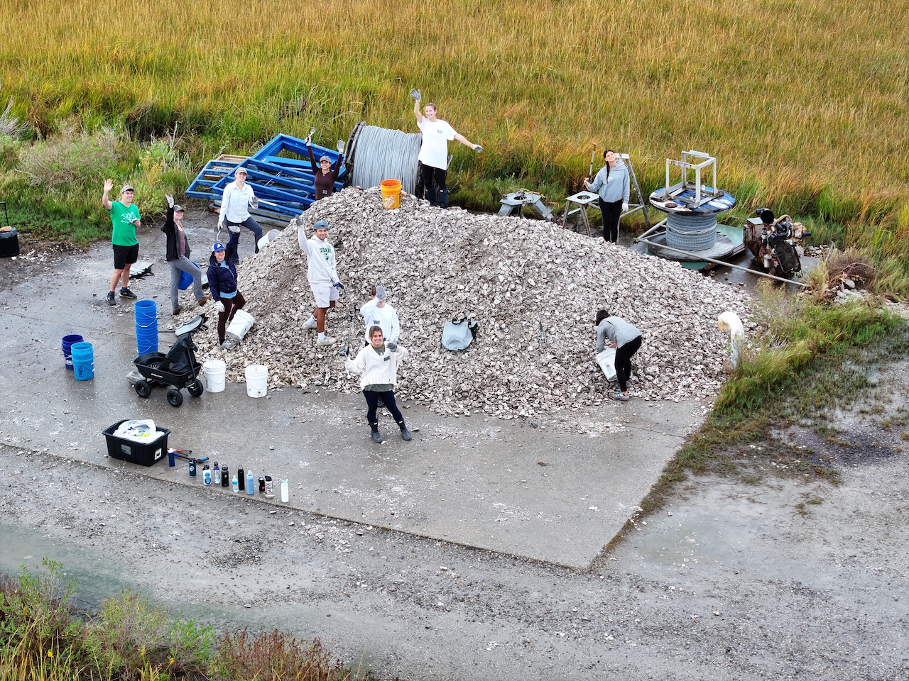 Aerial photograph of a group of volunteers posing around a large mound of shells.