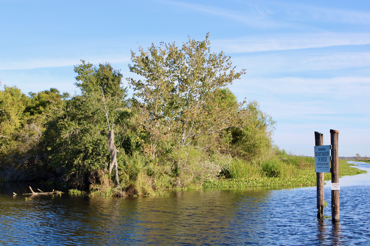 Photograph of a grassy bank and trees lining a winding river under a clear blue sky.