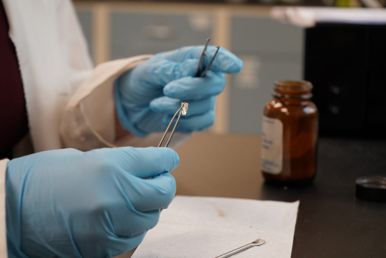 A gloved scientist holding a small sample with tweezers in a lab.