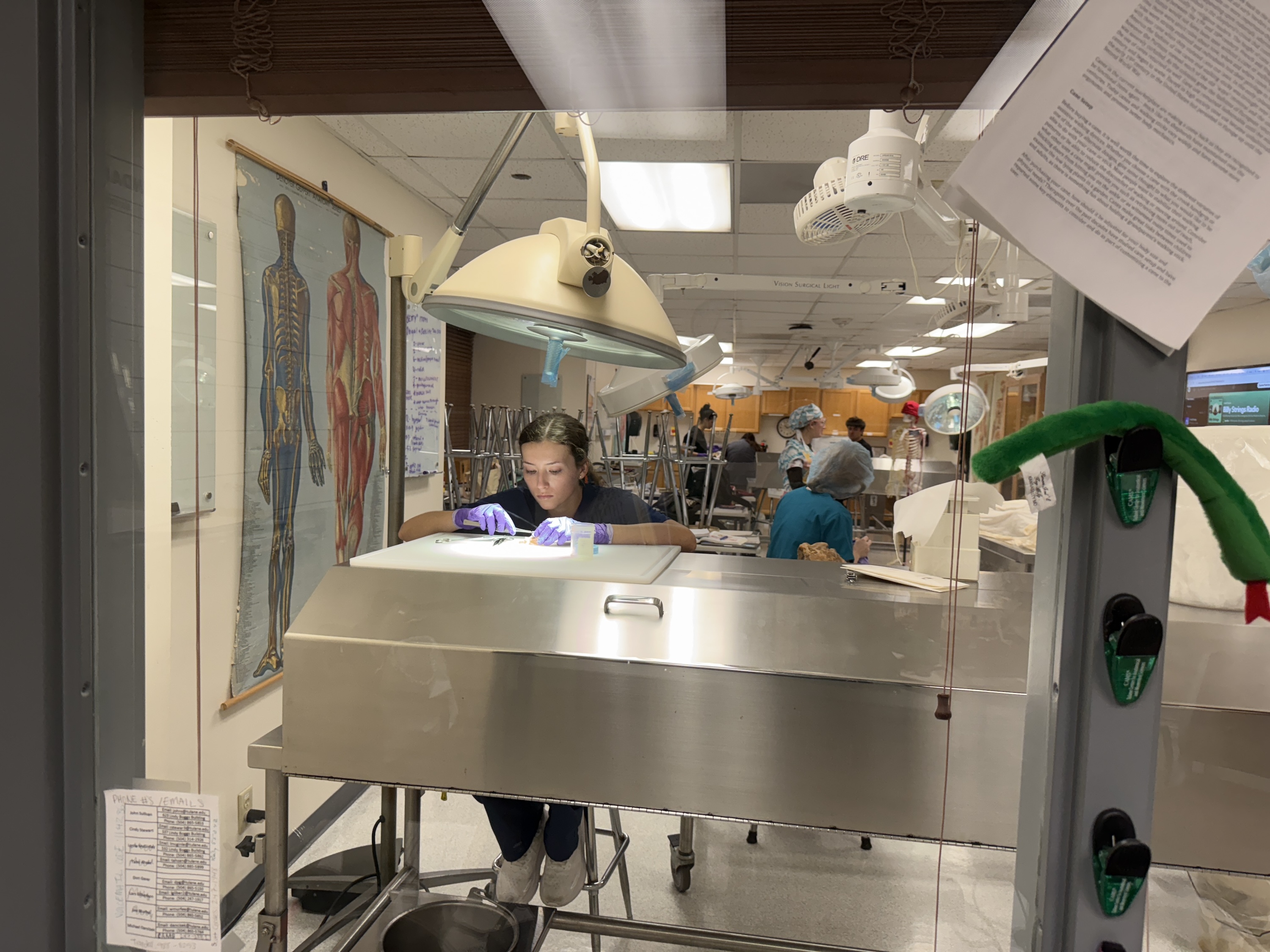 Photograph of a woman working at a stainless steel lab table.
