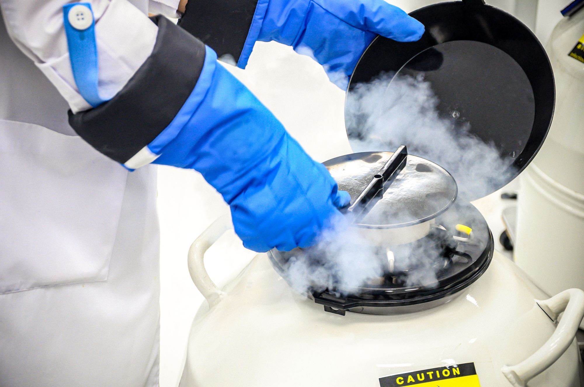A scientist in blue cryo-gloves opens a liquid nitrogen tank, releasing cold vapor.