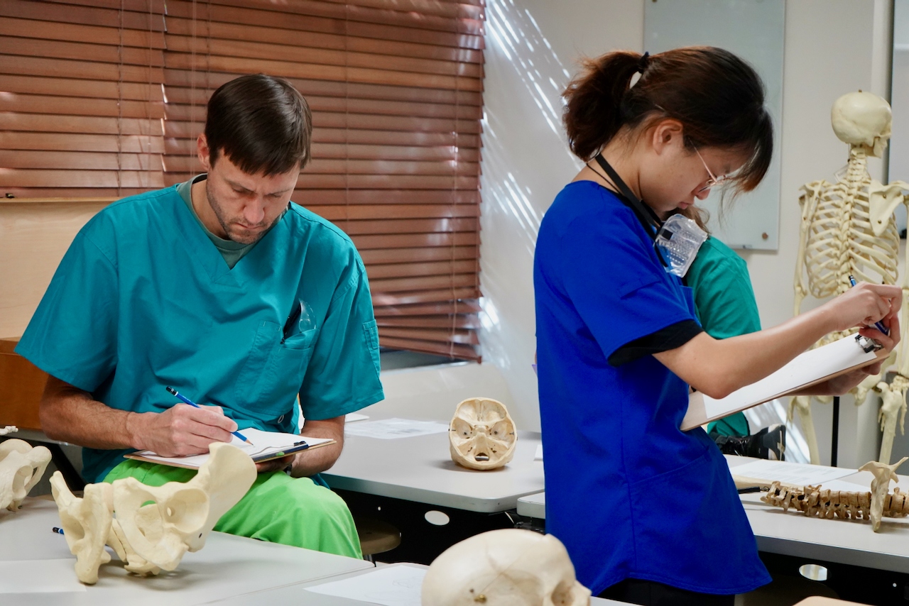 Two medical students in scrubs review notes beside anatomical models in a classroom.