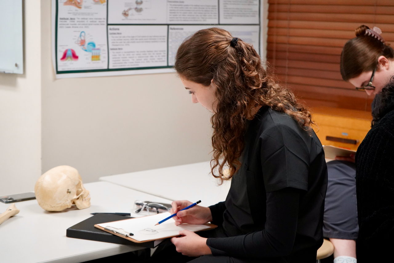 Photograph of a young woman sketching on a clipboard beside a skull in a lab.