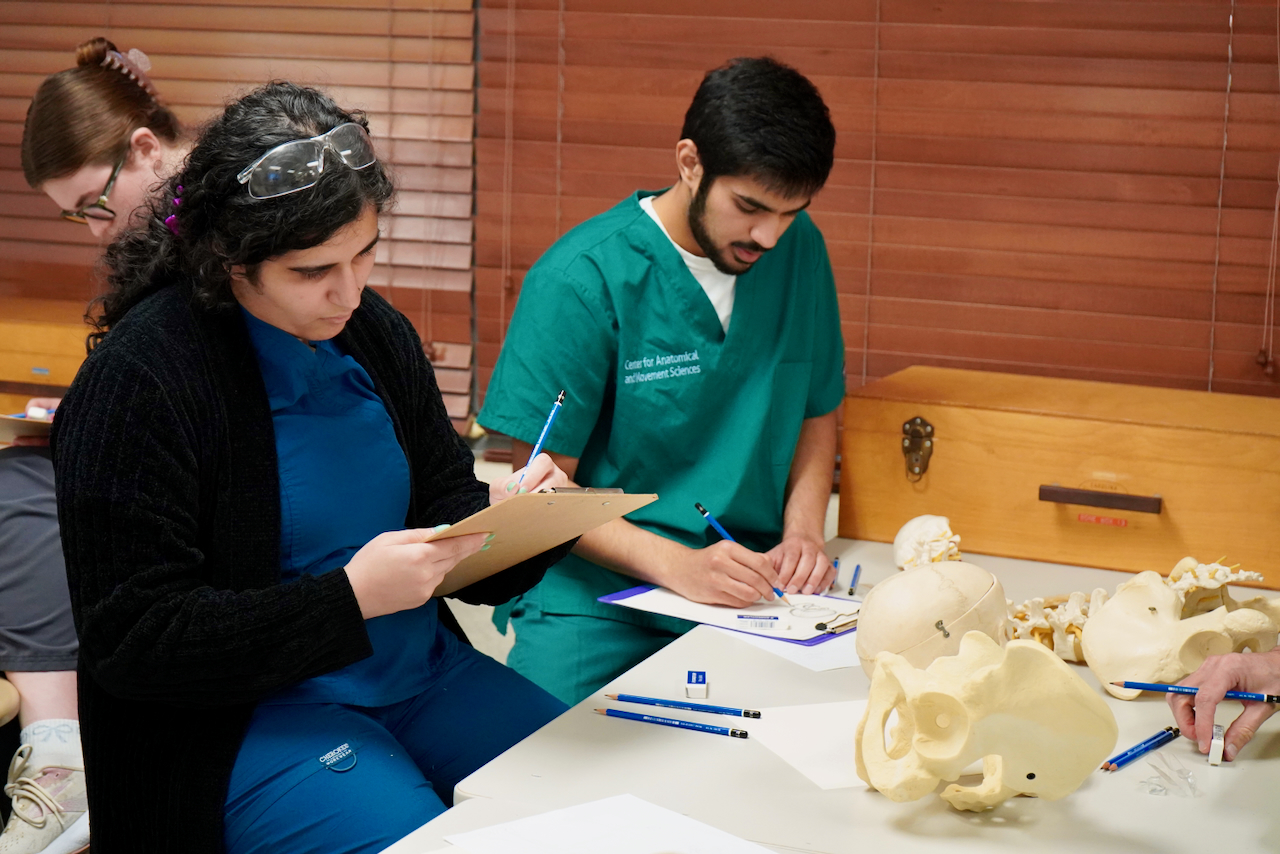 Photograph of students studying human anatomy models in a classroom.