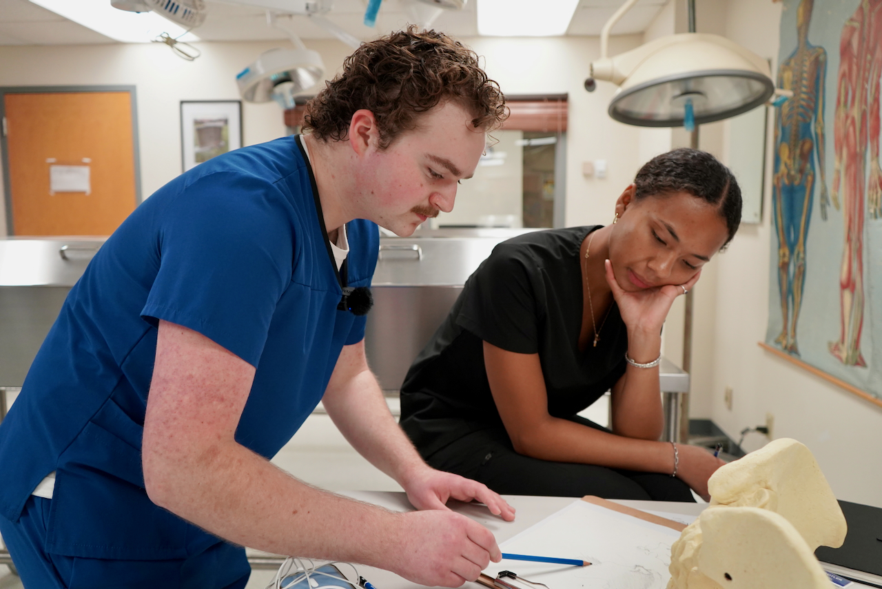 Photograph of two medical students collaborating on an anatomy assignment.