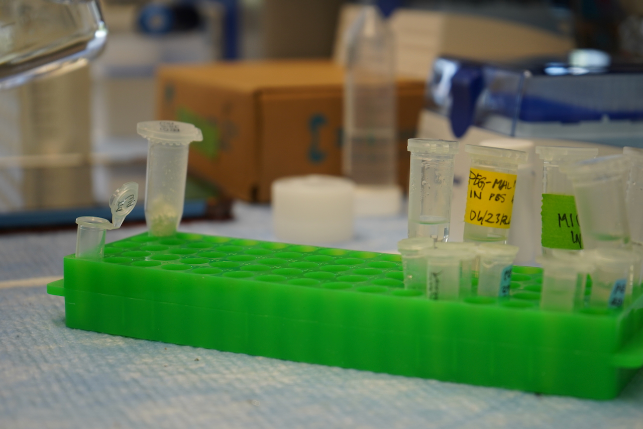 Photograph of a bright green rack holding several small, clear laboratory vials on a blue surface.