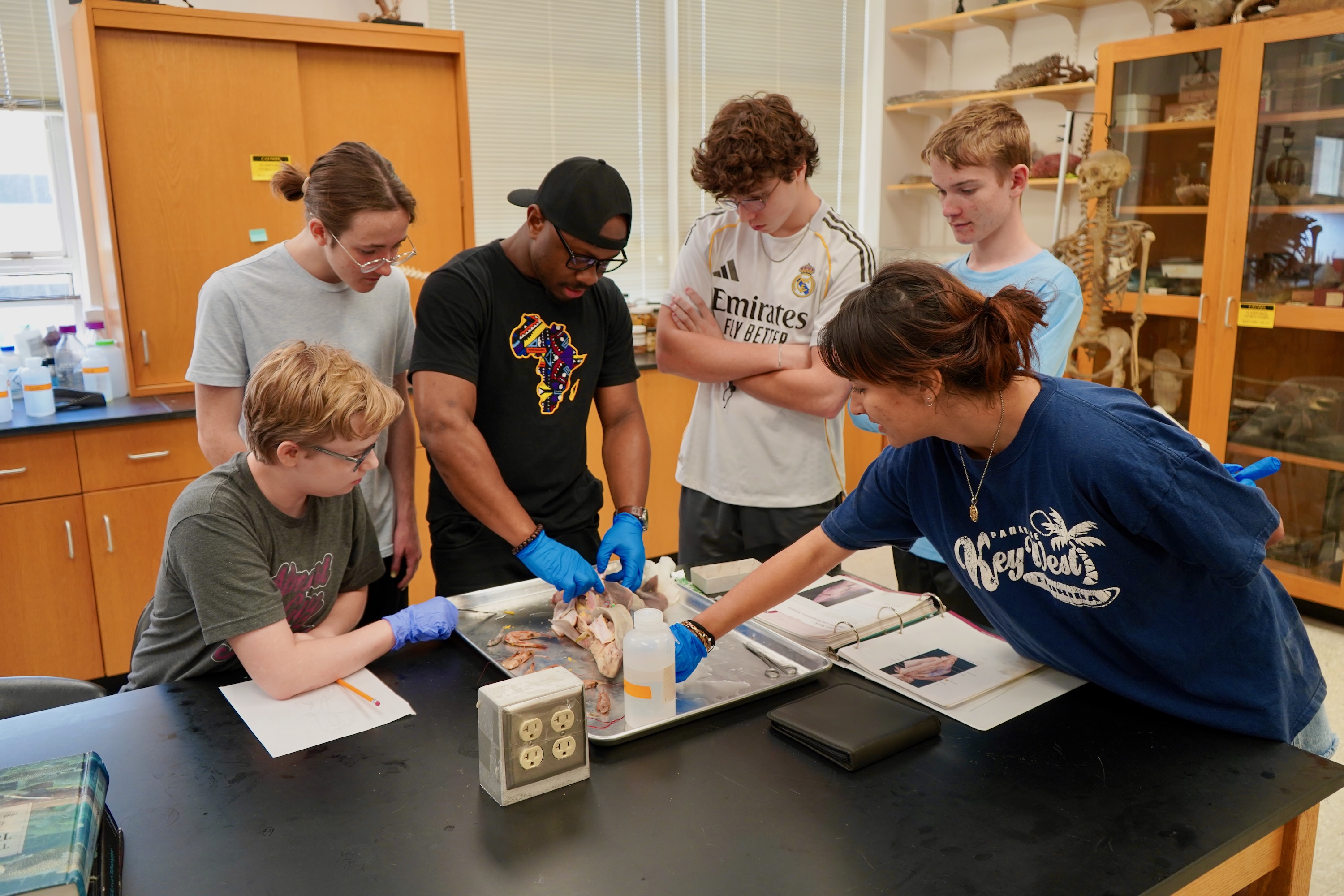 Students collaborating around a lab table, working on a dissection.