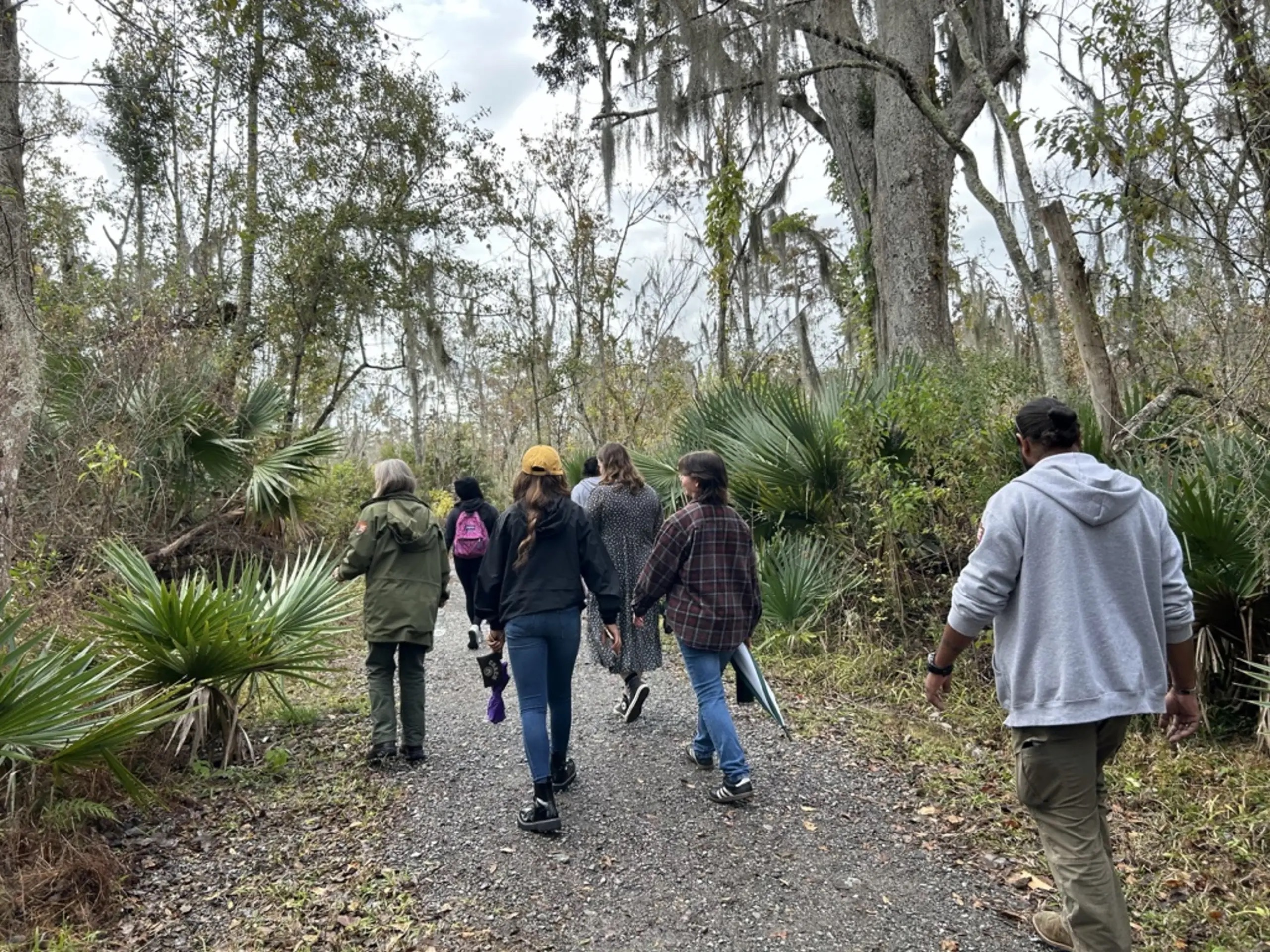 group of people hiking along a path through a marsh