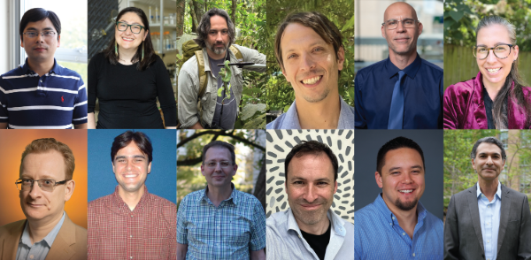Collage of twelve portraits of various individuals smiling.
