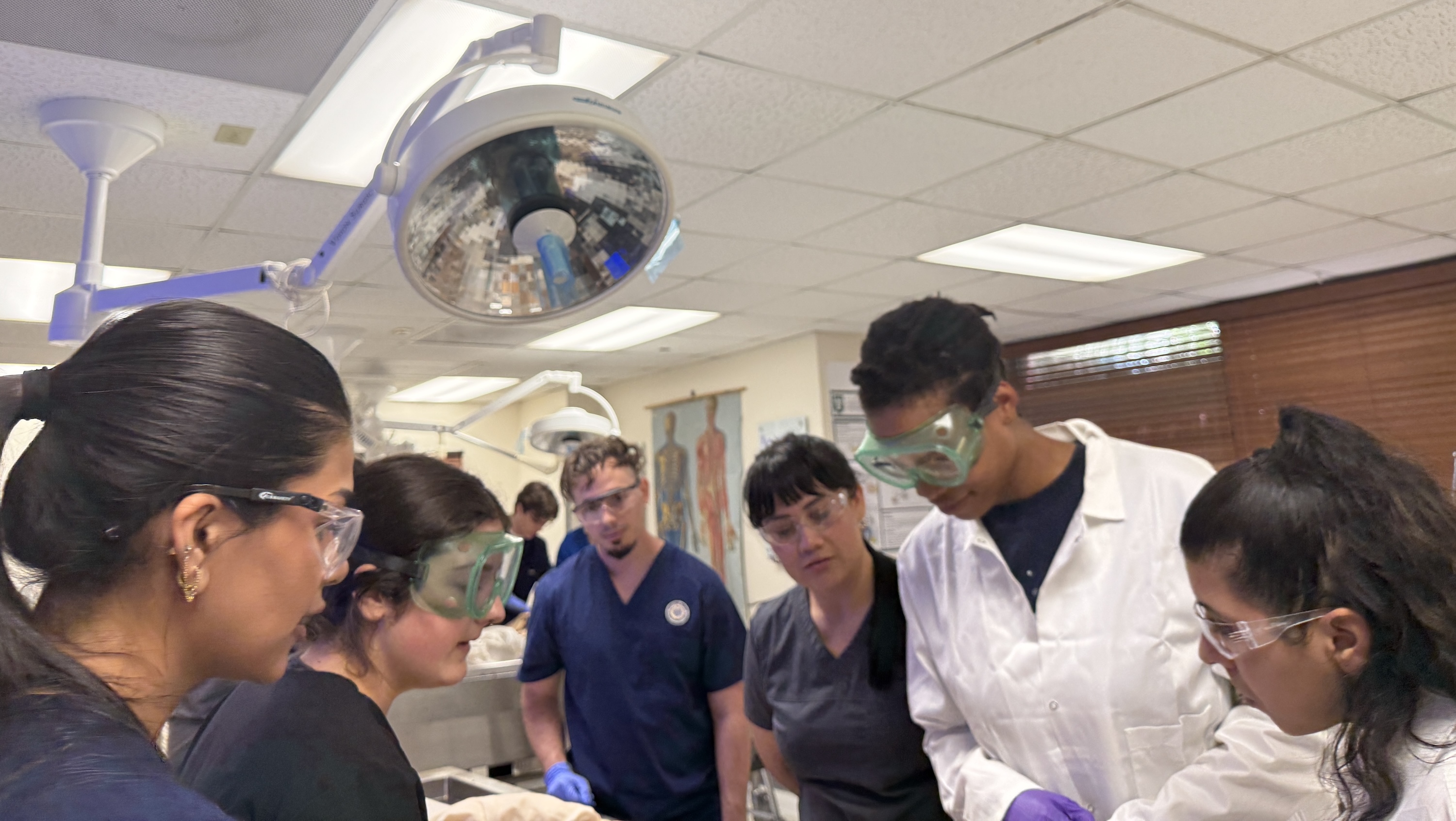 Photograph of students in scrubs and lab coats gathered around a table in a bright lab.