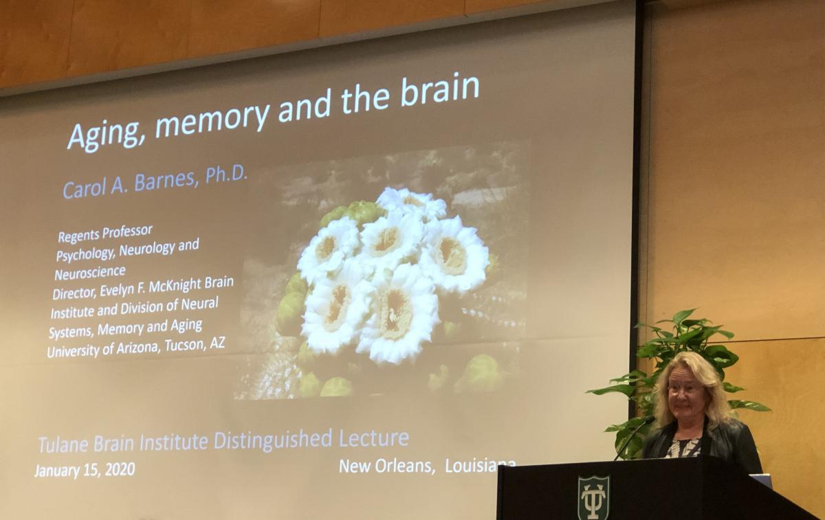 Dr. Carol Barnes Distinguished Lecture