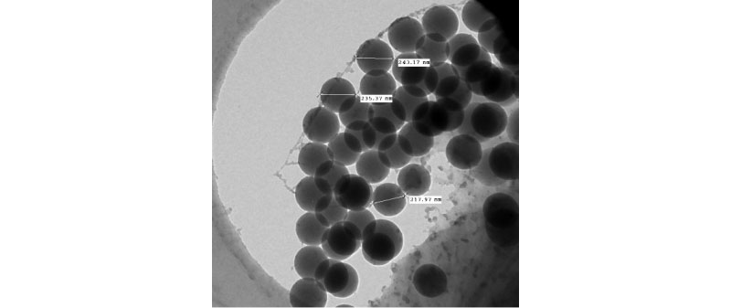 Cryo-TEM image for BA surfactant–free polymerization reaction ([BA]=0.268M)