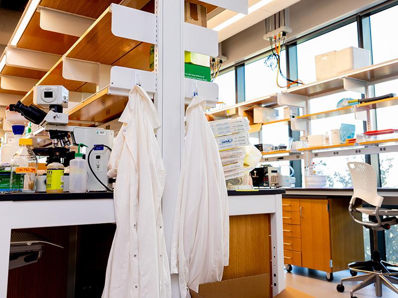 lab coats hanging at the end of a row of workspaces