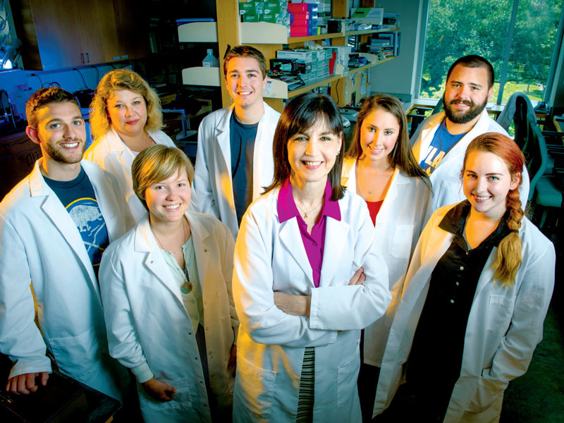 Neuroscience research team