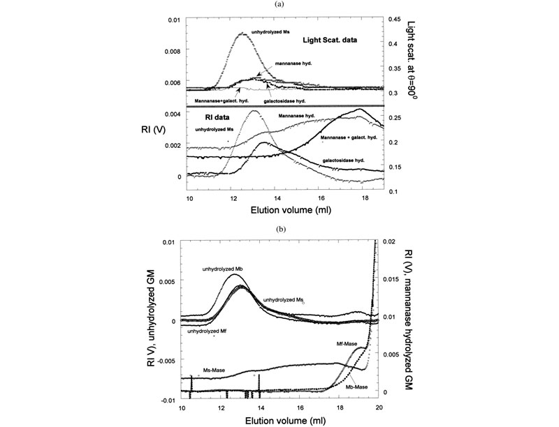 (a) Raw SEC chromatograms of Mimosa scabrella (Ms), before enzymatic hydrolysis, after separate enzymatic hydrolysis by b-mannanase and a-galactosidase, and after combined hydrolysis by b-mannanase/a-galactosidase at 25°C. (b) Raw SEC chromatograms of Ms, Moldenhawera floribunda (Mf), and Melanoxylon brauna (Mb) before and after enzymatic hydrolysis by b-mannanase at 25°C.