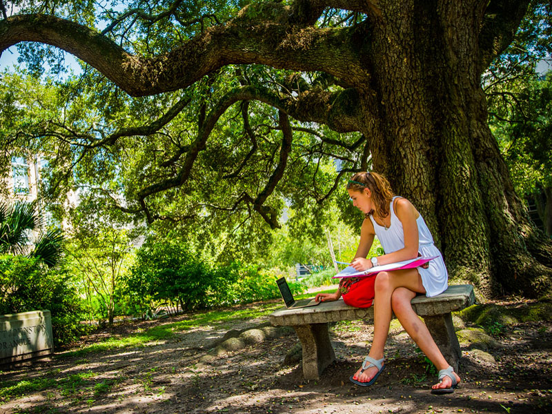 Student studying under tree