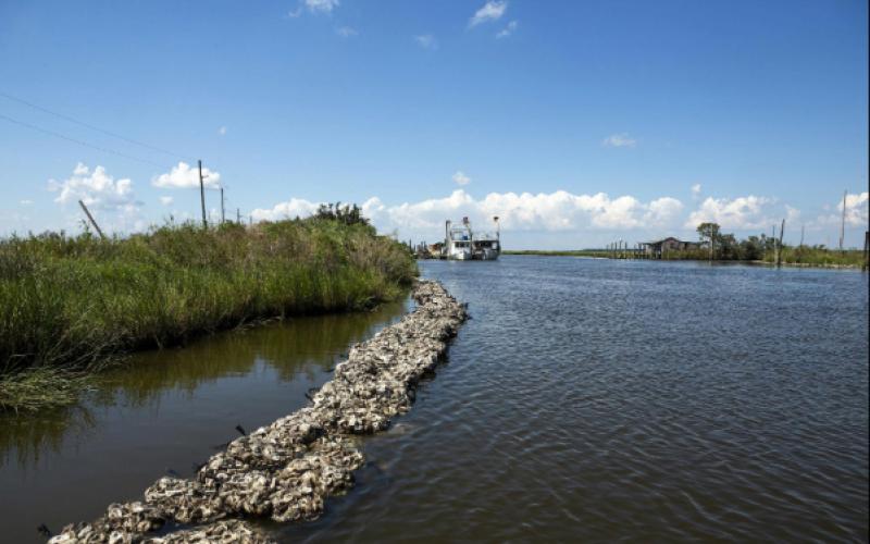 Louisiana Coastline