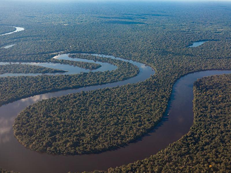 Amazon River