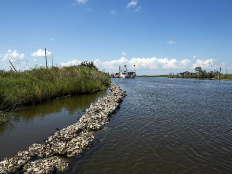 Louisiana Coastline