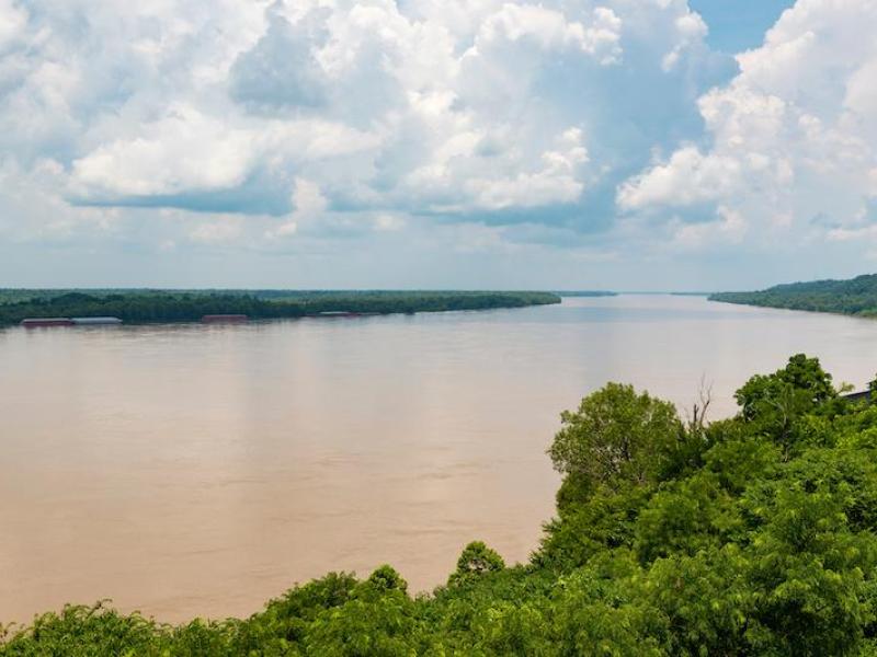 Wide, muddy river with barges, flanked by lush green trees under a cloudy sky.