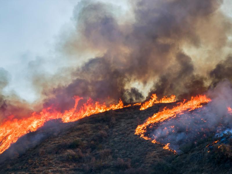 Wildfire burning on a hillside with smoke billowing into the sky.
