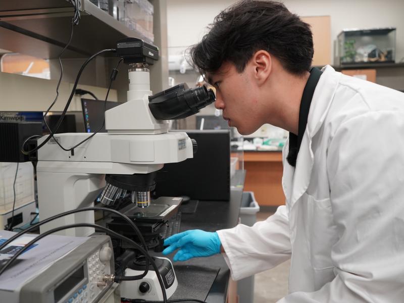 Male scientist in lab coat looks through microscope.