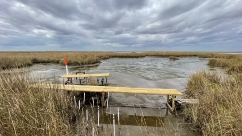 Example of a Coastwide Monitoring Reference System site