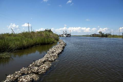 Louisiana Coastline